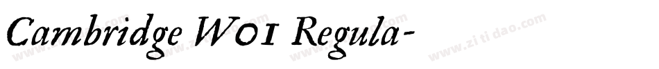 Cambridge W01 Regula字体转换